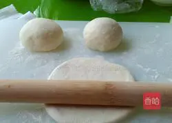 Pork and Green Onion Pie Recipe Illustration 3