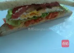 Sandwich recipe illustration 7