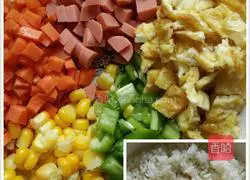 Laoganma’s Egg Fried Rice Recipe Illustration 1