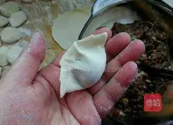 Illustration of how to make beef and green onion dumplings 11