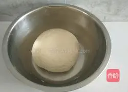 Dumplings...Alfalfa Pork Filling Recipe Illustration 1