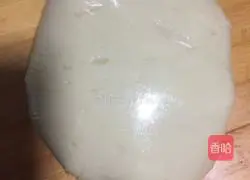 Rose Shortcake Recipe Illustration 4