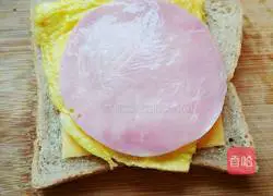 Cheese Sandwich Recipe Illustration 7