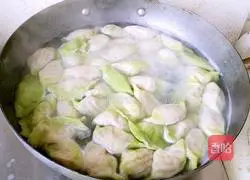 Baicai Dumpling Recipe Illustration 24