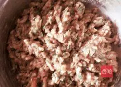 Illustration of how to make pork and potato dumplings 2