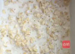 Oatmeal Pancake Recipe Illustration 1