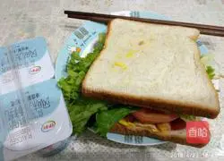 Illustration of homemade breakfast sandwich 18