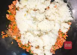 Style Fried Rice Recipe Illustration 7