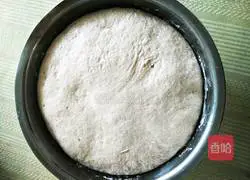 Illustration of how to make nut dregs steamed buns 7