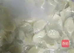 Alfalfa Meat Dumplings Recipe Illustration 5