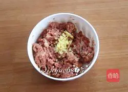 Carrot Illustration of how to make mutton stuffed dumplings 3