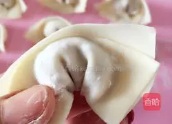 Illustration of how to make shrimp wontons 7