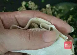 Illustration of how to make leek dumplings 15