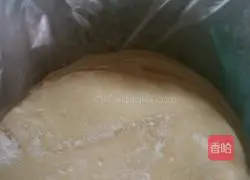 Illustration of how to make mushroom and carrot meat dumplings 8