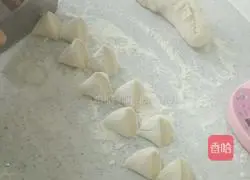 Illustration of making sauerkraut and pork buns 9