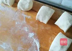 Illustration of home-style potato shredded burritos 2