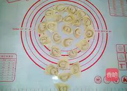 Illustration of how to make fresh meat Yuanbao wontons 14