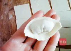 Illustration of how to make cabbage and pork wontons 10