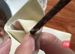 Illustration of how to wrap wontons 7