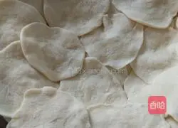 Illustration of how to make vegetarian and fresh dumplings 6