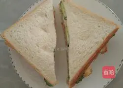 Sandwich Recipe Illustration 9
