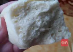 Illustration of how to make bean dregs steamed buns 14