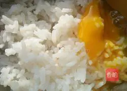Illustration of how to make fresh fried rice 1