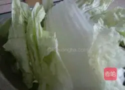 Illustration of how to make cabbage and pork patties 1