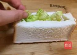 Pocket Sandwich Recipe Illustration 4