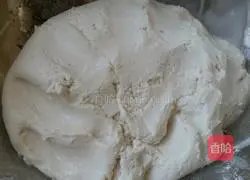 Illustration of homemade sesame glutinous rice balls 2