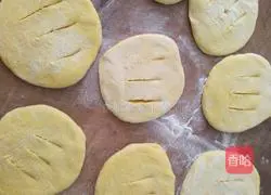 Homemade Illustration of how to make pumpkin pancakes 7