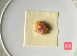 Illustration of how to wrap wontons 8
