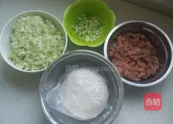 Illustration of how to make pork wontons 1