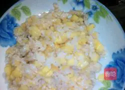 Apple fried rice recipe 9