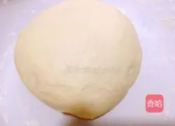 Illustration of making mushroom, pork and carrot dumplings 1