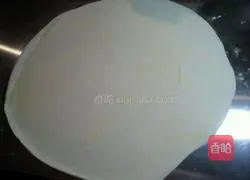 Illustration of homemade noodles (detailed version) 15 