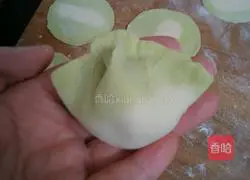 Illustration of how to make alfalfa and pork dumplings 8