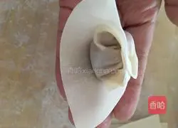 Illustration of homemade meatball wontons 10