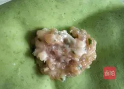 Illustration of how to make wontons 4