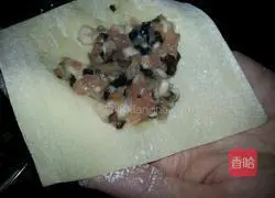 Illustration of how to make wontons 2