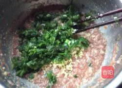 Pork and celery stuffed dumplings Practice illustration 9