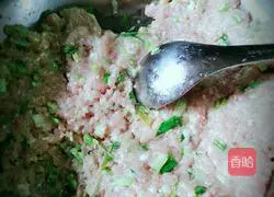 Illustration of how to make dumplings 1