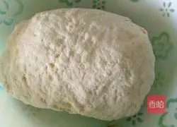 Pork and leek dumplings recipe 5