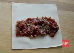 Illustration of how to make wonton skin pot stickers 4