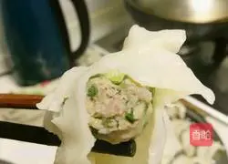 Illustration of making meat and three fresh dumplings 13