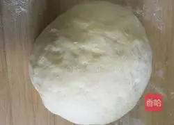 Thousand Layer Illustration of how to make fermented meatloaf 3