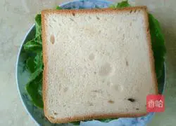 Illustration of how to make fruit and vegetable sandwiches 11