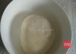 Cabbage pie recipe 1