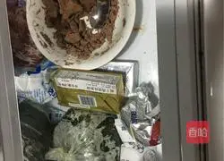 Illustrations of Dumpling Development 17