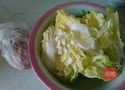 Pork and cabbage dumplings recipe 1